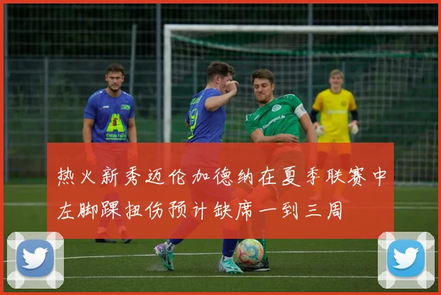 热火新秀迈伦加德纳在夏季联赛中左脚踝扭伤预计缺席一到三周